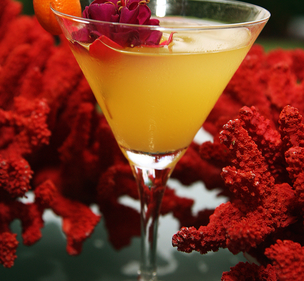 Kumquat-Cocktail-1_CHANGED_crop-top_auto-tone_sharpen_x