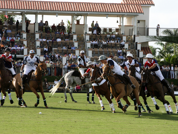 Polo-Event-at-the-International-Polo-Club-in-Palm-Beach-1-14-07-4_crop-right_auto-contrast_color-balance_sharpen
